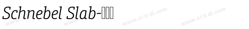 Schnebel Slab字体转换 Schnebel Slab字体转换